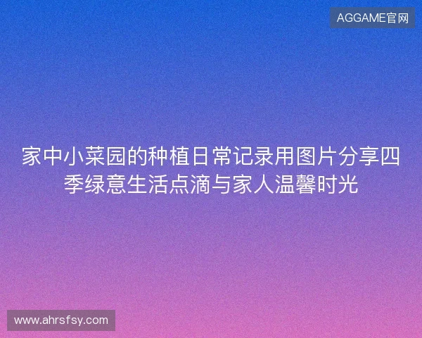 家中小菜园的种植日常记录用图片分享四季绿意生活点滴与家人温馨时光